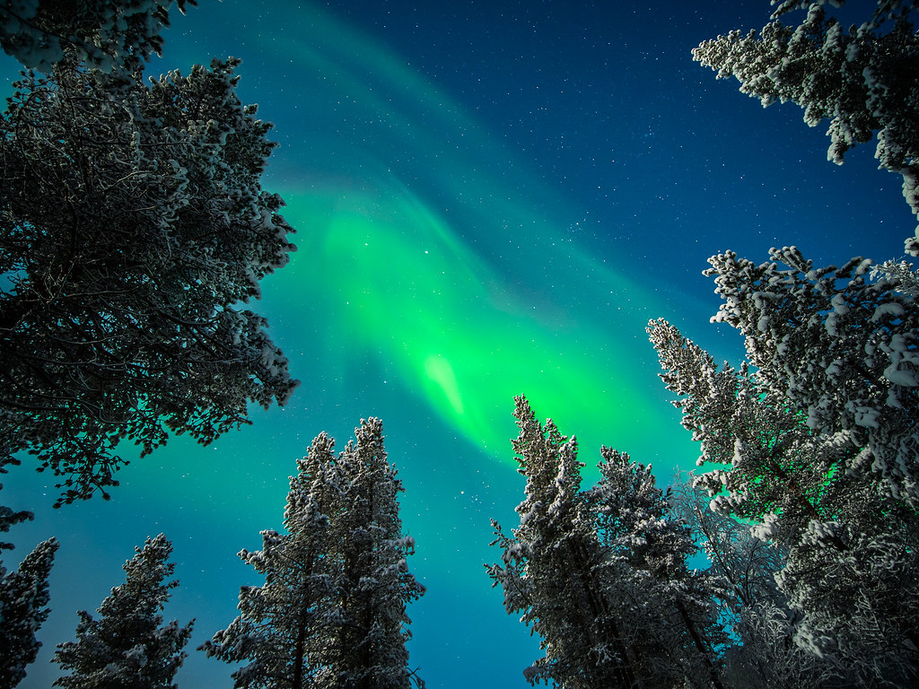 Northern lights over a snowy Lapland landscape in Ivalo, Finland.