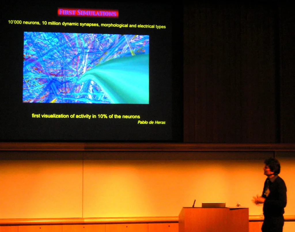 Television screen displaying a video streaming service